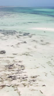 Vertical Video of Low Tide in the Ocean Near the Coast of Zanzibar Tanzania