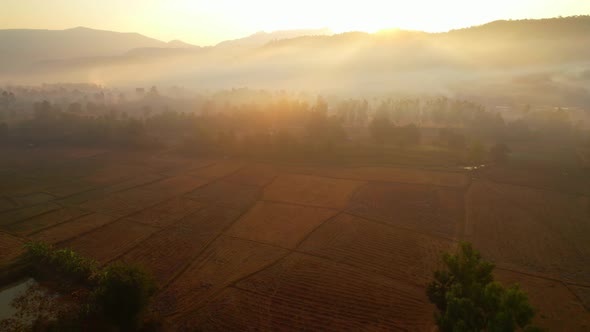 Aerial view from a drone over misty landscape on farmland. 4K