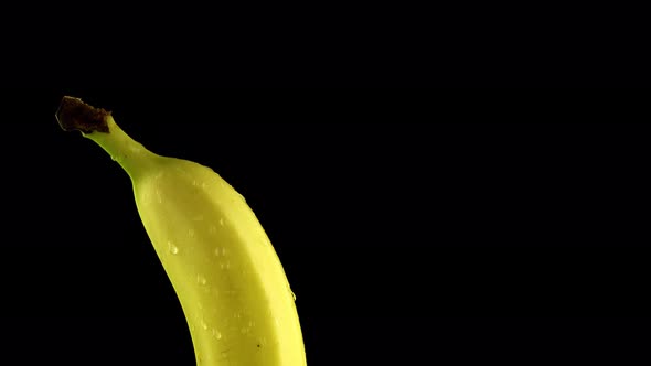 Banana Wet with Water on a Black Background