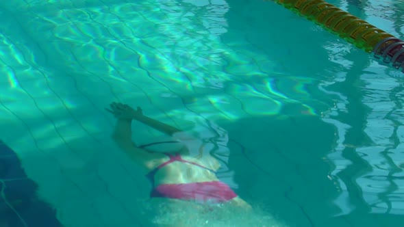 Girl Swimmer Dive In Swimming Pool, Female Swimmer Dives in Swimming Pool for a Swim Exercise, Top