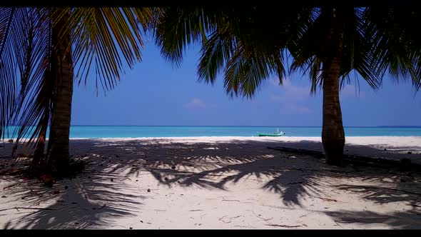 Aerial drone view landscape of relaxing coast beach wildlife by blue ocean and bright sand backgroun