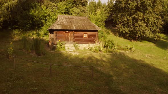 Ancient Rustic Cabin in a Forest