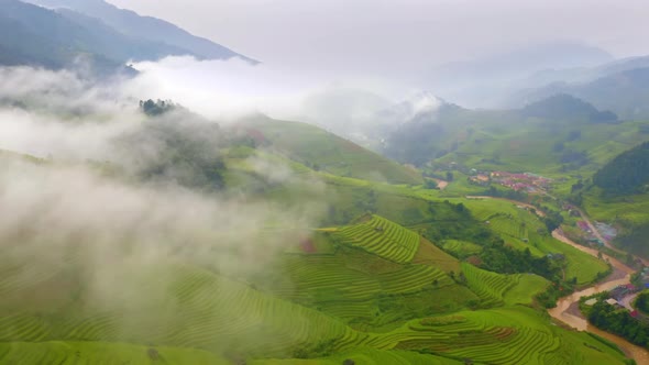 Aerial top view of fresh paddy rice terraces, agricultural fields in Vietnam.