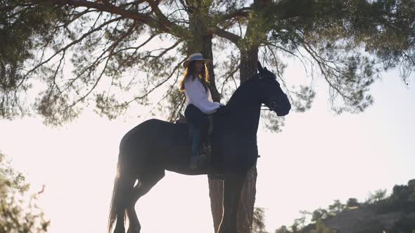 Side View Black Purebred Stallion and Slim Beautiful Woman in Sunlight Outdoors