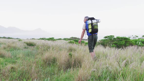 Senior hiker man with backpack walking and touching wild grass on the grass field in the mountains. 