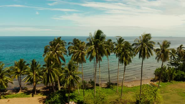 Landscape with Coconut Trees and Turquoise Lagoon