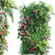 Vertical garden 23 - 3DOcean Item for Sale