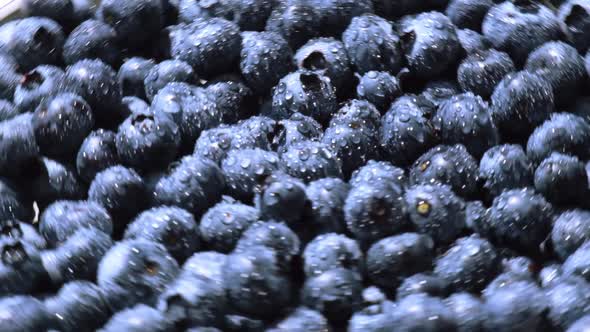 Fresh Blueberries Background Rotating in Slow Motion