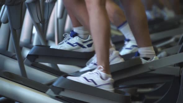 Human legs on a elliptical trainer