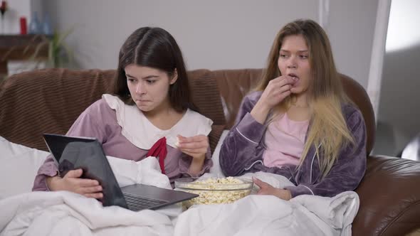 Two Young Absorbed Women Watching Film Online on Laptop Eating Popcorn Talking