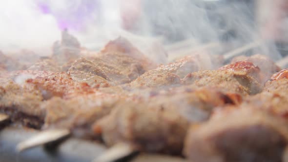 cook kebab on fire