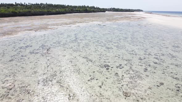 Shore of Zanzibar Island Tanzania at Low Tide Slow Motion