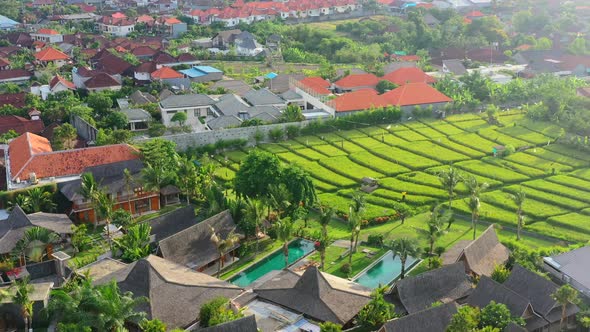 luxury villa with infinity pool and green rice terrace views in Bali Indonesia, aerial