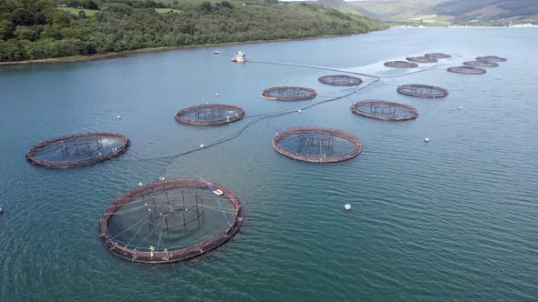 A Fish Farm in Scotland Providing Mariculture for Food Markets