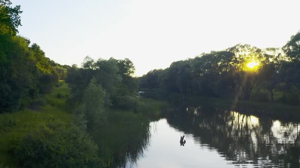 Aerial View on River and Forest