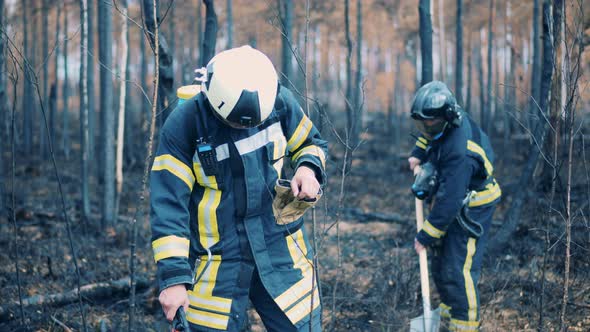 Firefighters are Putting Out the Residual Woodland Fire