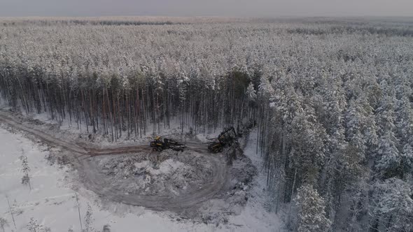 Forest harvester and forwarder drive into the winter forest 05