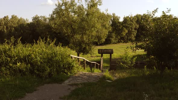 Entrance To the Forest