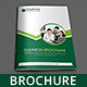 Multi-Purpose Business Brochure Vol-17 - GraphicRiver Item for Sale
