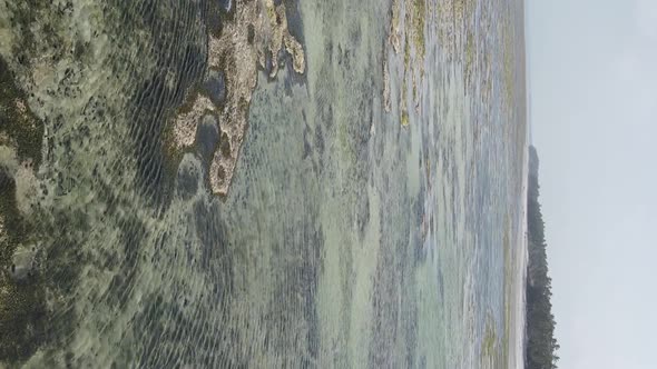 Vertical Video of Low Tide in the Ocean Near the Coast of Zanzibar Tanzania Aerial View