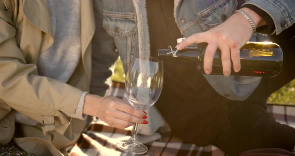 Couple Enjoying Red Wine on a Picnic in Nature