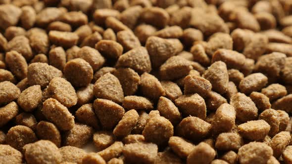Tilting on  pile of pellets for cats or dogs 2160p 30fps UltraHD   footage - Dry  pet  food meal slo