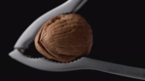 Walnut in nut cracker. Slow Motion.