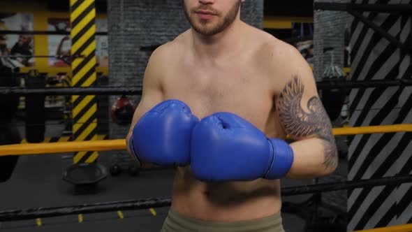 Portrait of a Muscular Male Boxer in Boxing Gloves in Ring