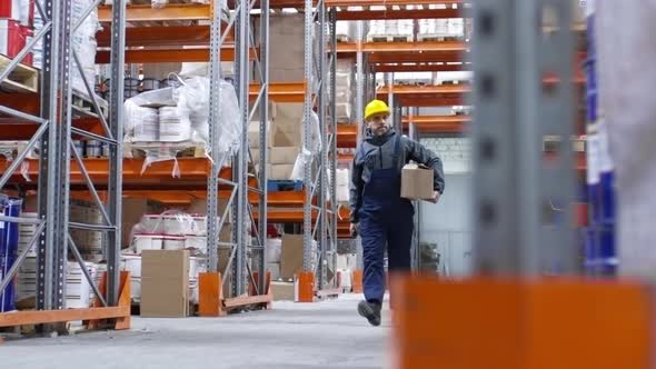 Worker Carrying Box in Warehouse