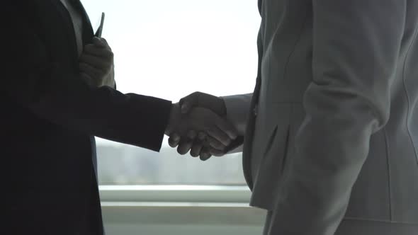 Cropped Shot of Businesswomen Shaking Hands