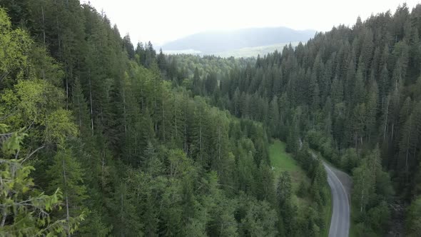 Ukraine, Carpathian Mountains: Beautiful Mountain Forest Landscape. Aerial, Flat, Gray