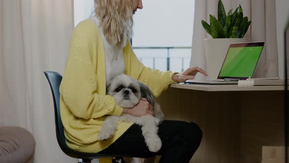 Woman Freelancer Work at Laptop with Chroma Key Screen at Desk Dog Sits on Owner Knees Rbbro