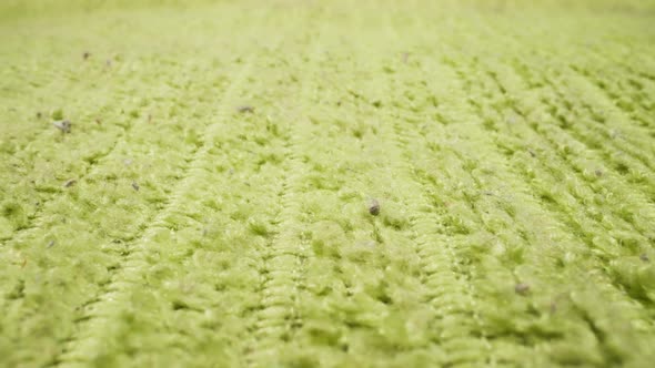 Texture of Light Green Fabric with Seams As Background