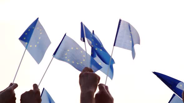 Group of People Holding Flags of European Union