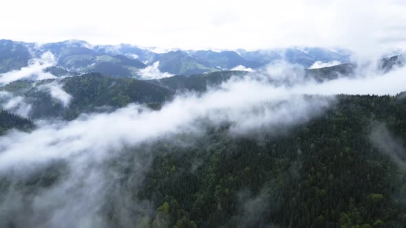 Fog in the Mountains. Slow Motion. Carpathians. Ukraine. Aerial.