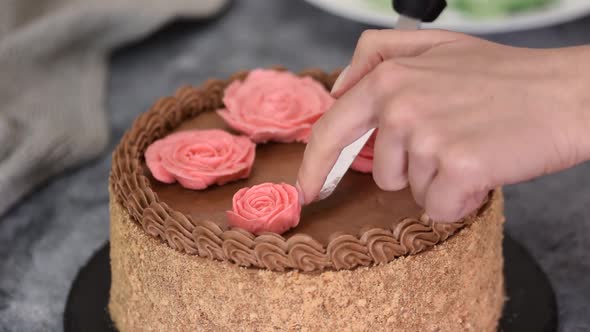 Female Hands Decorate Homemade Kiev Cake with Cream Flowers