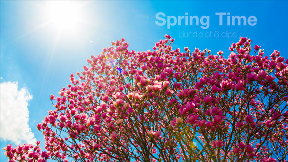 Spring Time - Bundle