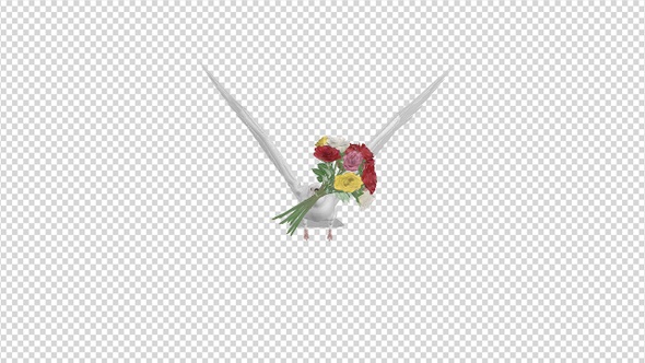 Dove with Bouquet - 4K Flying Cycle - Front View alt