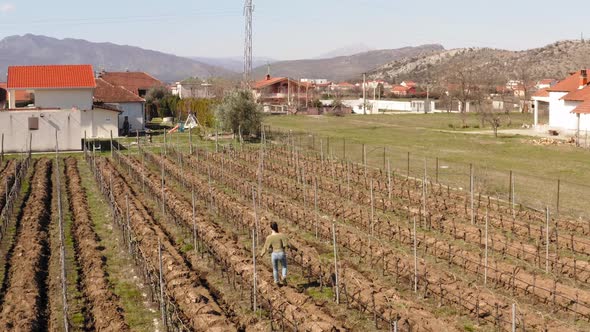 Young girl dressed casually walking on muddy areas amidst grape vineyard in beautiful suburbs. Podgo