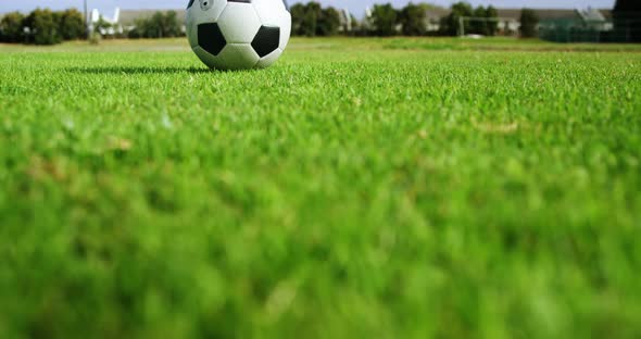 Soccer ball on green grass