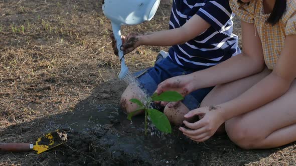 Asian Sibling Watering Young Tree On Summer Day Slow Motion 
