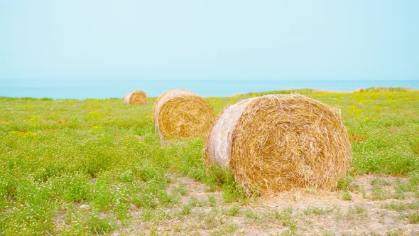 Haystacks on the Green Lawn at the Seaside