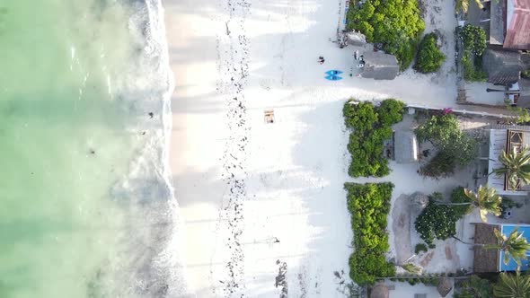 Vertical Video of the Beach on Zanzibar Island Tanzania Aerial View