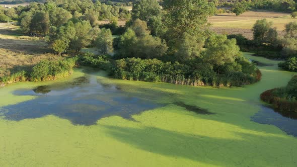 Flight Over A Beautiful Lake Dotted With Green Vegetation 22