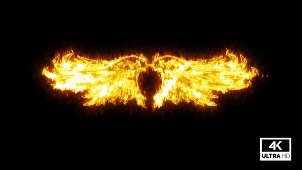 Burning Wings Isolated On Black Background V5