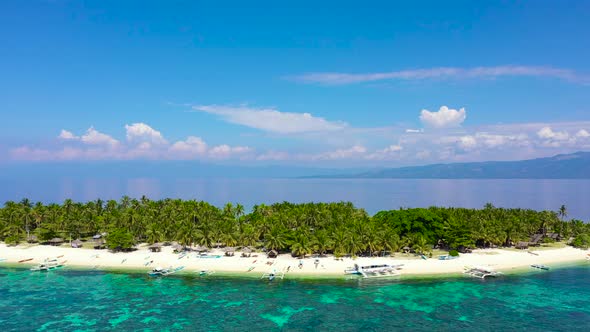 Summer Beach Landscape. Tropical Island View, Palm Trees with Amazing Blue Sea. Digyo Island