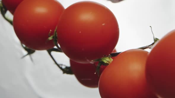 Cluster of Tasty Cherry Tomatoes Falls Down Into Clear Water