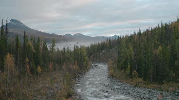 Top View of Forest Landscape with River and Mountains with Fog