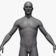 Male body base mesh - 3DOcean Item for Sale