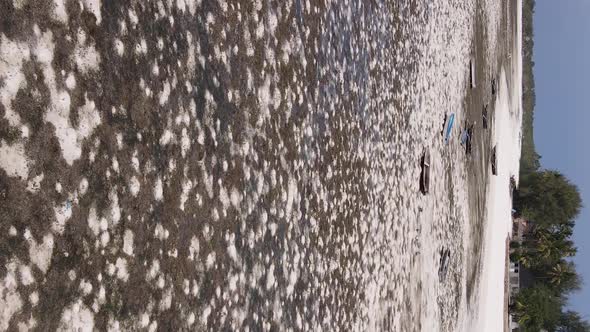 Zanzibar Tanzania  Vertical Video of Low Tide in the Ocean Near the Coast Slow Motion